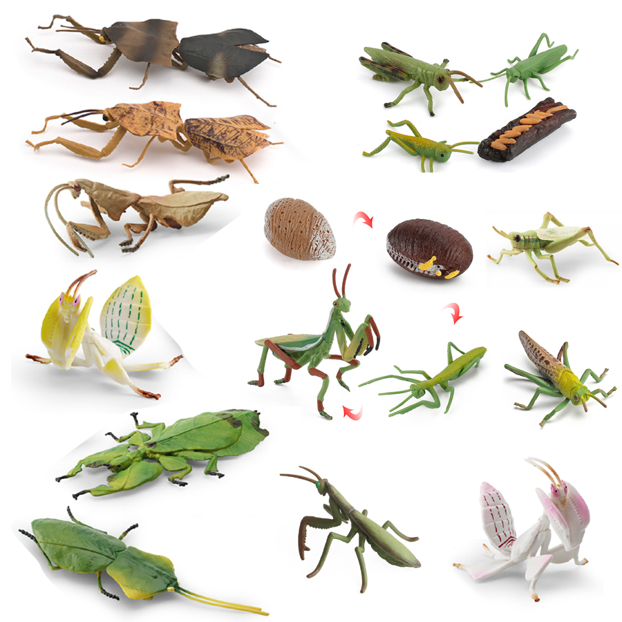 Kids Toys Home - Realistic Orchid Mantis Dead Leaf Mantis