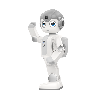 Alpha Mini High-Quality AI STE - Kids Toys Manufacturers recension och pris