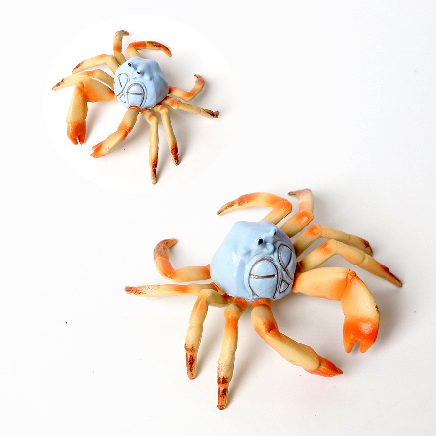 Realistic Ocean Animals Hermit - Kids Toys Home recension och pris