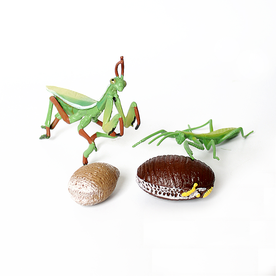 Realistic Orchid Mantis Dead L - Kids Toys Home recension och pris